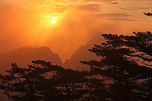 黄山,日出,云海,壮观,名胜,朝霞,0025