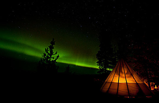 光亮,圆锥形帐篷,北极光,极光,绿色,螺旋,靠近,怀特霍斯,育空地区,加拿大