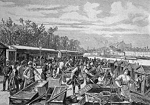 鱼,市场,多瑙河,运河,维也纳,奥地利,历史,1893年