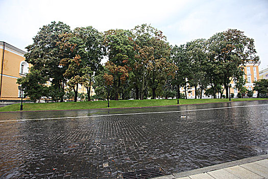 克里姆林宫俄罗斯政府办公楼边树木