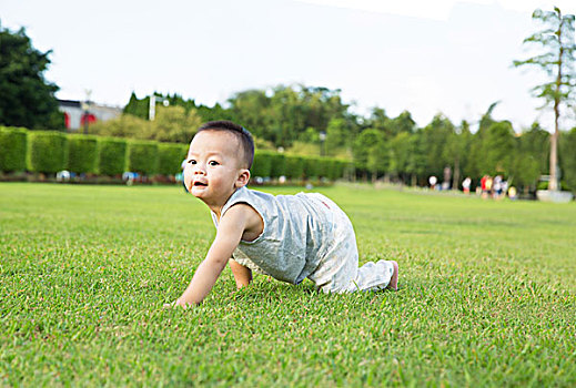 男婴草地爬行