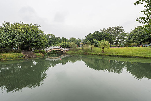 桂林秋季雨中公园池塘绿地树林