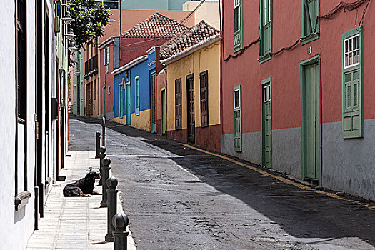 狭窄街道,彩色,房子,历史,中心,帕尔玛,加纳利群岛,西班牙,欧洲