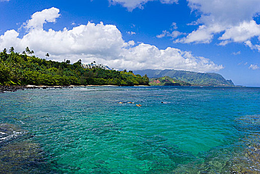 水下呼吸管,小湾,靠近,海滩,普林斯维尔,岛屿,考艾岛,夏威夷