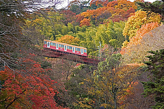 日本,京都,索道,季节