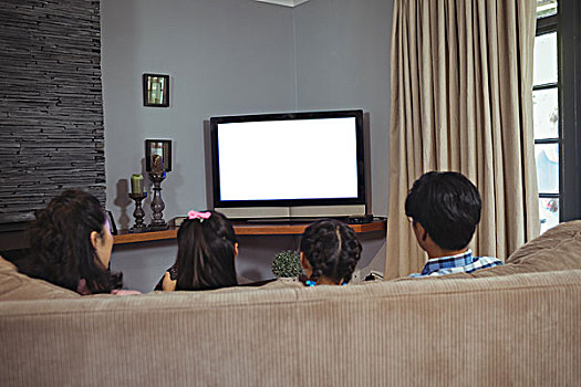 家庭,看电视,一起,客厅,在家
