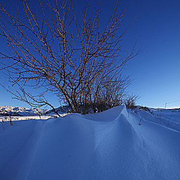 新疆伊犁赛里木湖果子沟冬日雪景