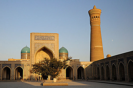 乌兹别克斯坦,布哈拉,清真寺,院落,尖塔