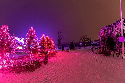雪中的长春北湖湿地公园夜景