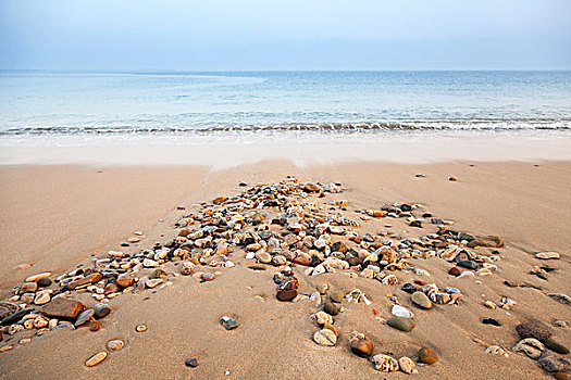 大西洋,海岸,湿,小,石头,沙子