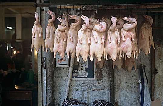 无毛,鸭肉,市场,上海