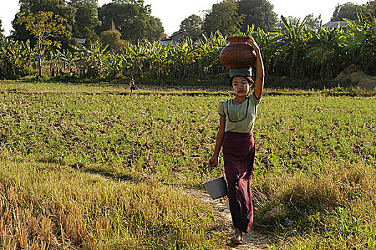 14岁,容器,饮用水,稻田,收集,乡村,地区,缅甸