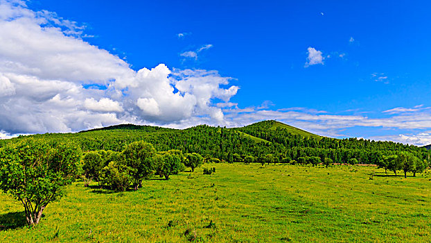 内蒙古呼伦贝尔沿途美景