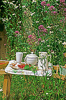 花园,托盘,红醋栗,茶