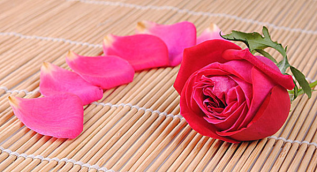玫瑰,花瓣,竹子,餐具垫