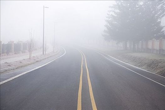 雾,道路