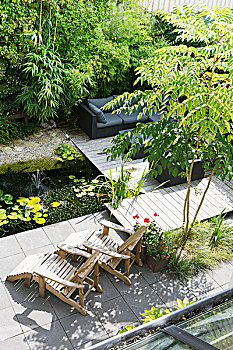 园池,木质,躺椅,沙发,木质露台,靠近,竹子