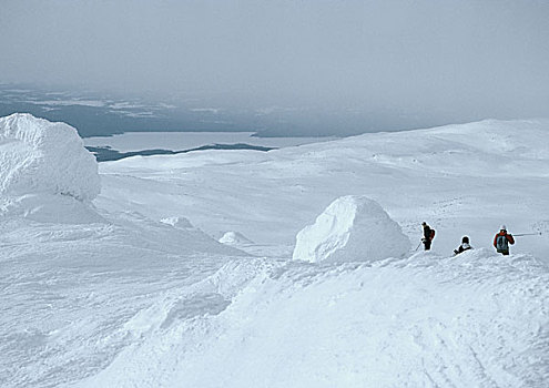 瑞典,远足,走,雪中