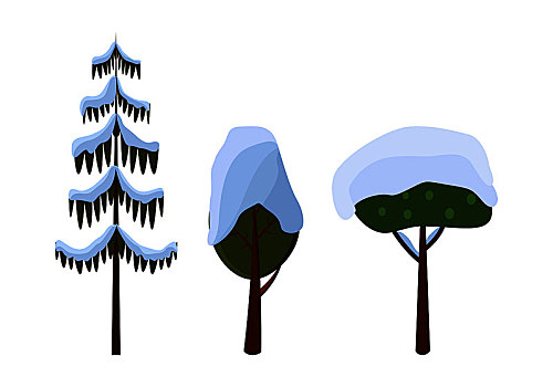 树,常青树,遮盖,雪,白色背景,收集,不同,健身,尺寸,长,云杉,空,圣诞树,卡通,风格,冬天,霜,设计,矢量,插画