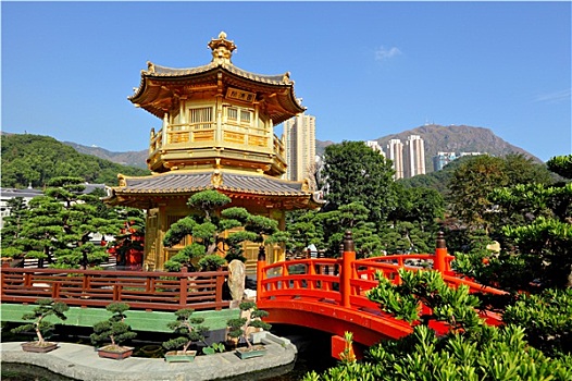 金色,亭子,中式花园