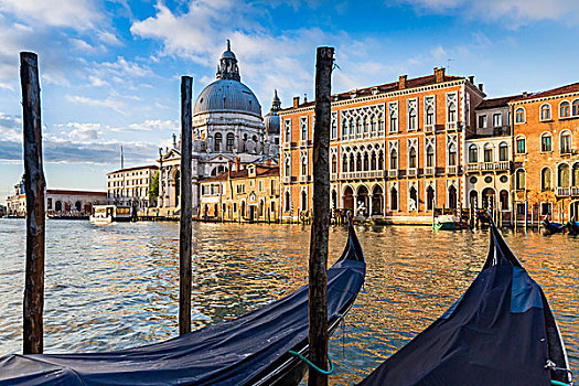 小船,停泊,车站,大运河,穹顶,圣马利亚,行礼,背景,威尼斯,意大利