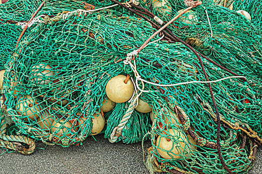 渔具,绿色,网,港口
