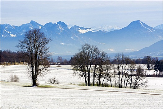 雪景,巴伐利亚,山