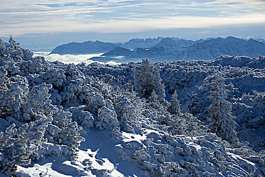 风景,冬天,巴伐利亚阿尔卑斯山,上巴伐利亚,巴伐利亚,德国