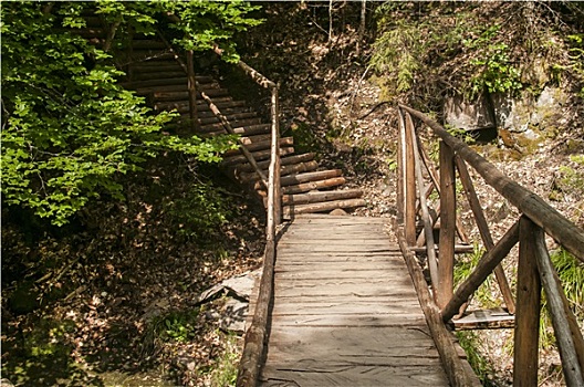木质,步行桥,山