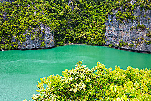南海,泰国,苏梅岛,湾,抽象,绿色,泻湖,水