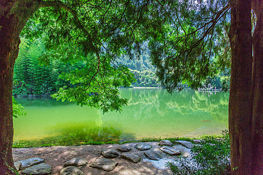 树林中的清澈湖水