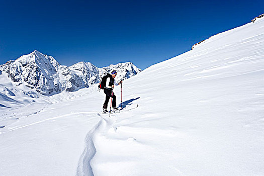 越野,滑雪者,向上,山,冬天,看,山峦,意大利,欧洲