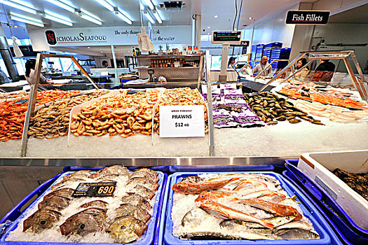 清新,烹饪,澳大利亚,挪威海蛰虾,悉尼,鱼,市场,新南威尔士