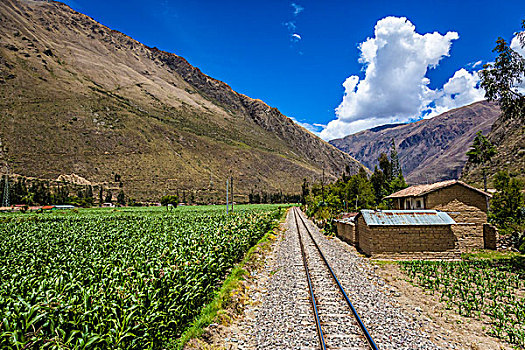 列车,轨道,靠近,乡村,家,农田,景色,旅途,神圣峡谷,印加,安迪斯山脉,秘鲁