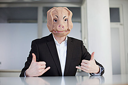 猪,办公室