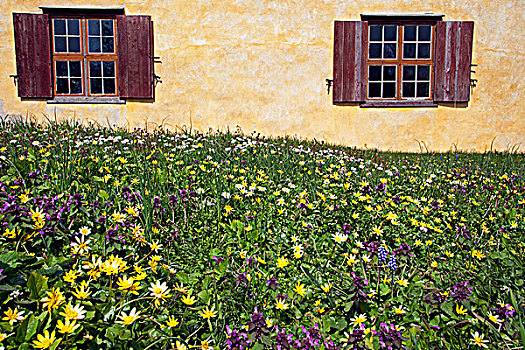瑞典,岛屿,哥特兰岛,春花,户外,传统,木质,窗户