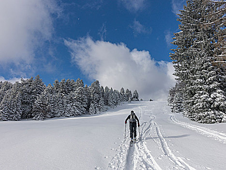 滑雪,登山,途中,下奥地利州,奥地利,欧洲