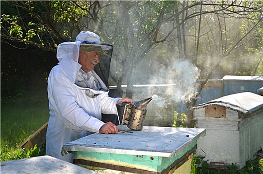 老人,养蜂人,蜂场,火,蜜蜂,吸烟
