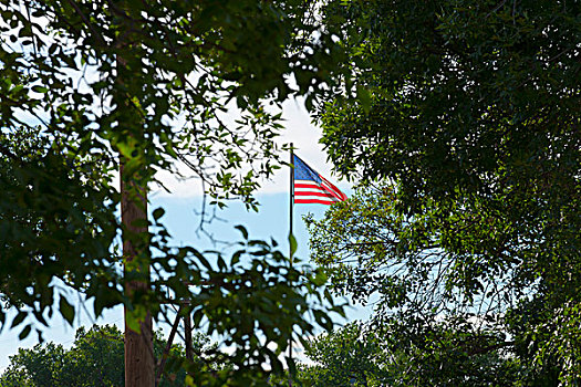美国国旗,风景,树