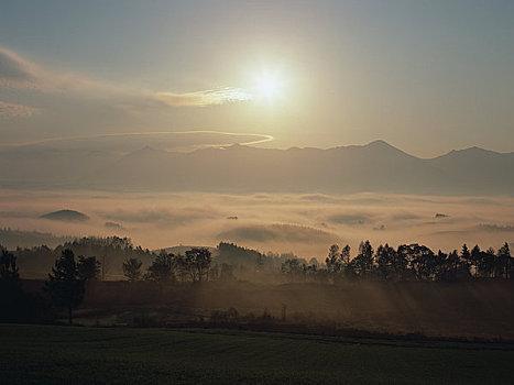 山,晨雾,山脉