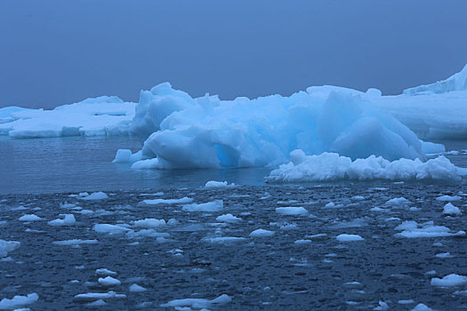 南极洲冰海中的蓝冰
