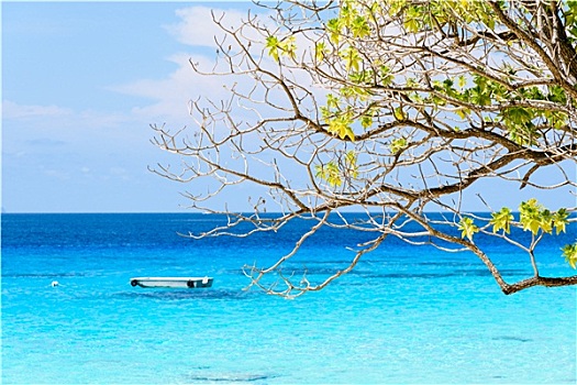 漂亮,蓝色海洋,苏梅岛,西米兰,泰国