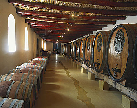 葡萄酒厂,法国角,非洲