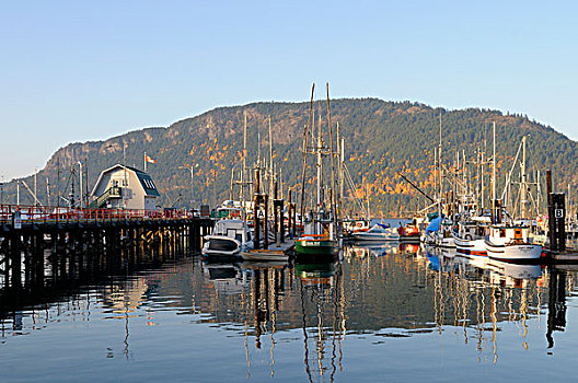 码头,温哥华岛,不列颠哥伦比亚省,加拿大