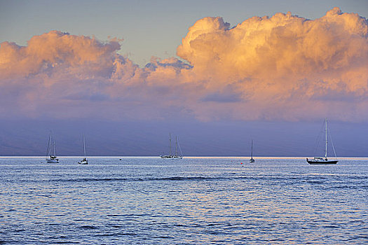 帆船,海洋,毛伊岛,夏威夷,美国