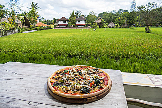 比萨饼,风景,地点,背景,乌布,巴厘岛,印度尼西亚