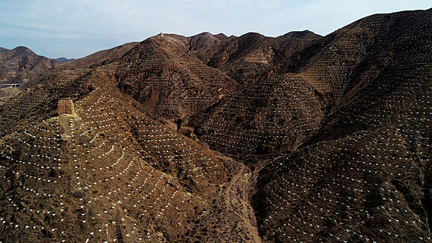 山上,植树,鱼鳞坑