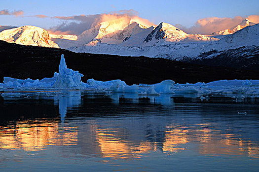 阿根廷湖,冰山,日出,靠近,莫雷诺冰川,高,安第斯山脉,卡拉法特,巴塔哥尼亚,阿根廷,南美