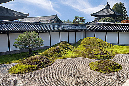 禅园,庙宇,京都,日本