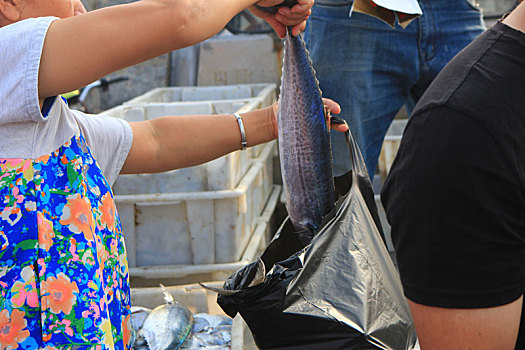 渔码头海鲜琳琅满目就像赶大集,游客提着水桶抱着保温箱来抢购尝鲜